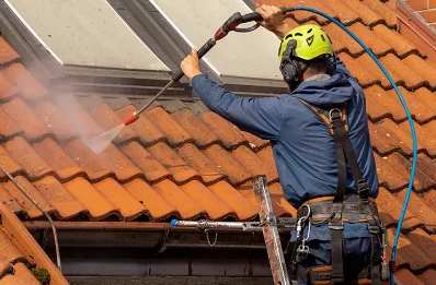 Démoussage et hydrofuge de toiture à Grane